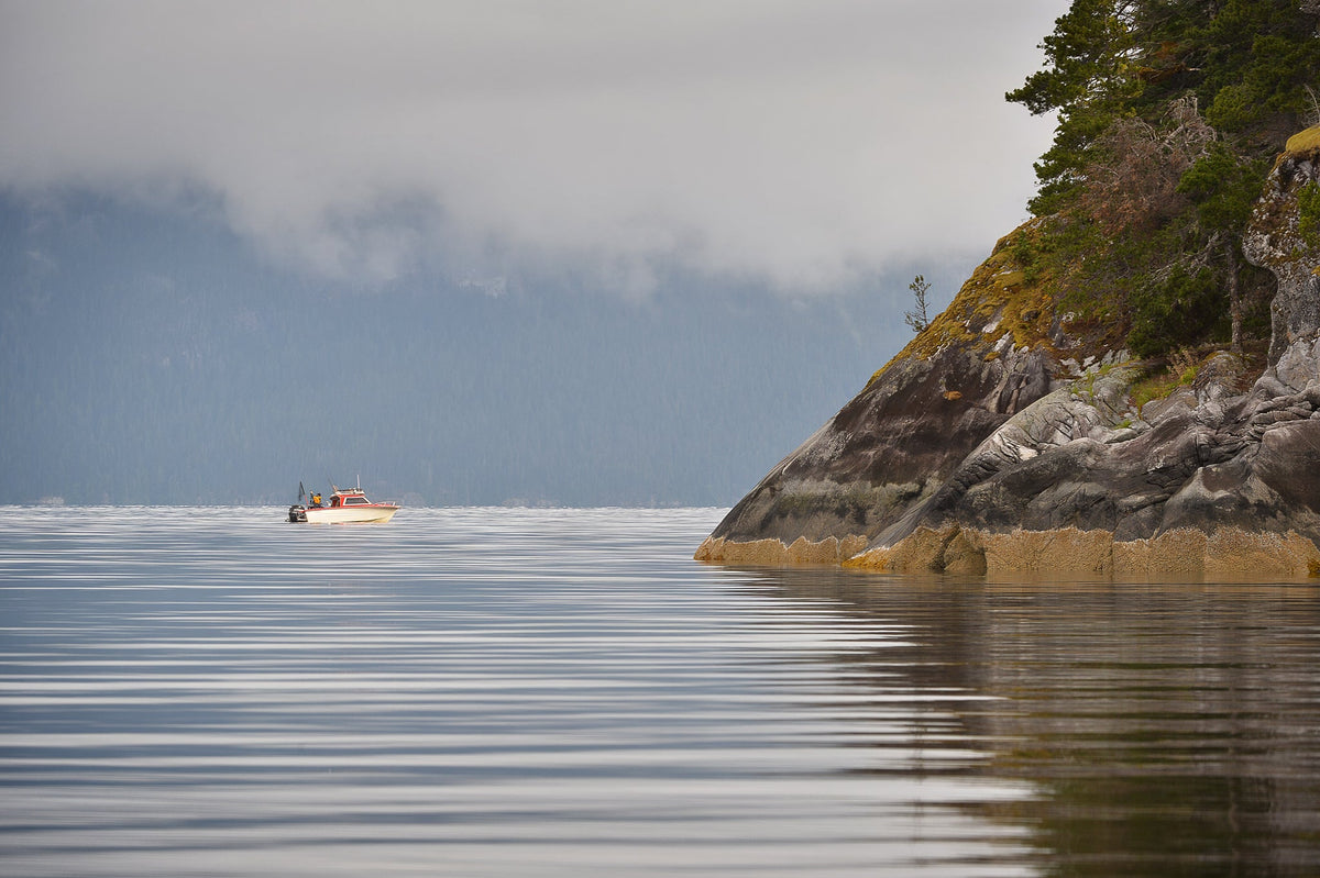 Seascapes